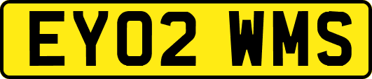EY02WMS