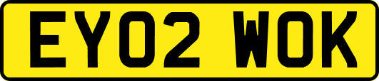 EY02WOK