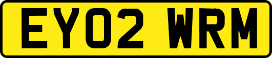 EY02WRM