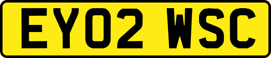 EY02WSC