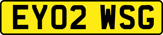 EY02WSG