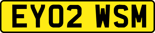 EY02WSM