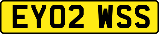 EY02WSS