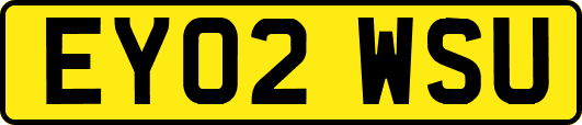 EY02WSU