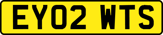 EY02WTS