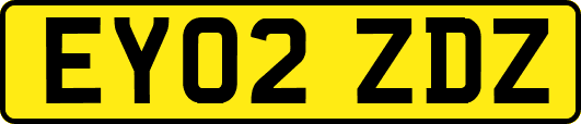 EY02ZDZ