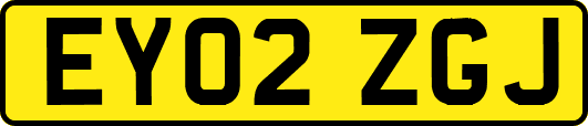 EY02ZGJ