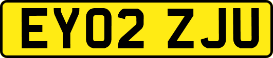 EY02ZJU