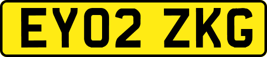 EY02ZKG