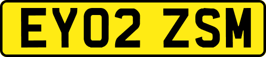 EY02ZSM