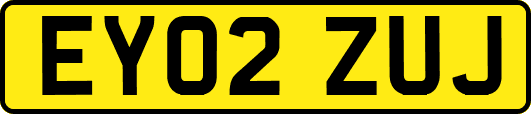 EY02ZUJ