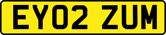 EY02ZUM