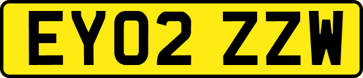 EY02ZZW