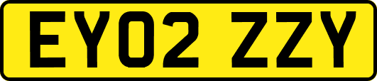 EY02ZZY