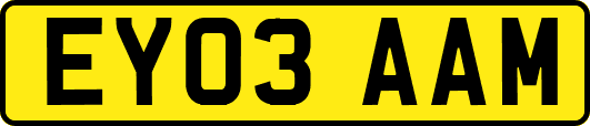 EY03AAM