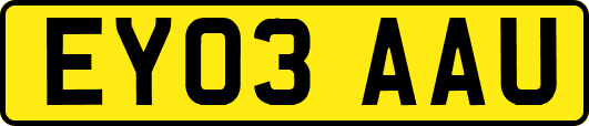 EY03AAU