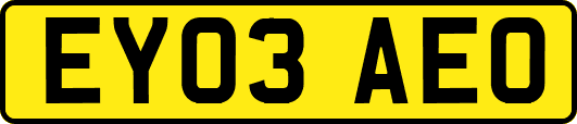EY03AEO