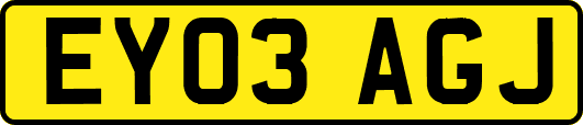 EY03AGJ