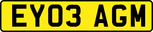 EY03AGM