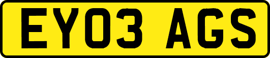 EY03AGS