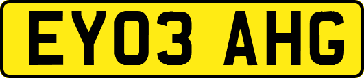 EY03AHG