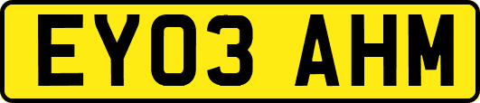 EY03AHM