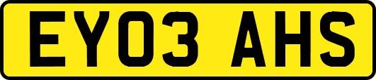 EY03AHS