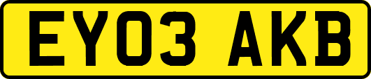 EY03AKB