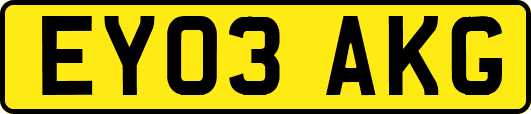 EY03AKG