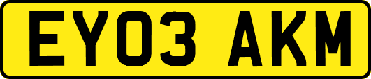 EY03AKM