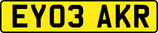 EY03AKR