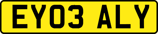 EY03ALY