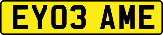 EY03AME
