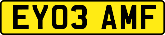 EY03AMF