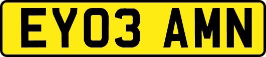 EY03AMN