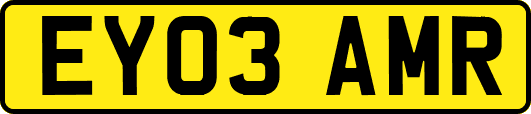 EY03AMR