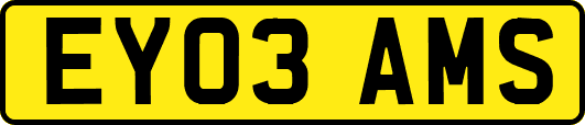 EY03AMS