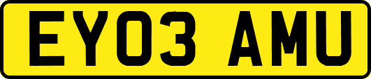 EY03AMU