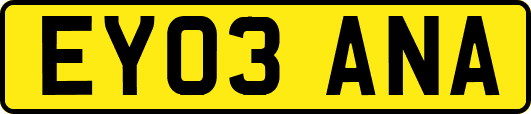 EY03ANA