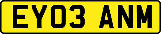 EY03ANM