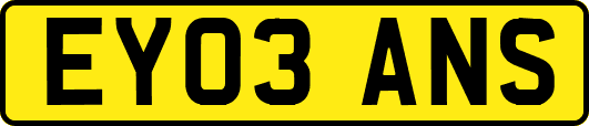 EY03ANS