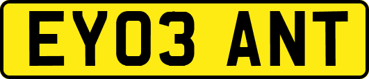 EY03ANT