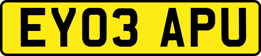 EY03APU