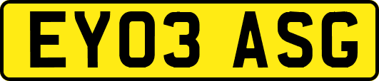 EY03ASG