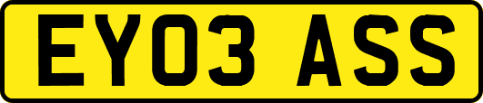 EY03ASS