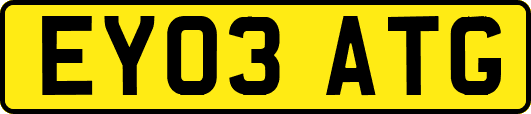 EY03ATG