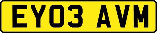 EY03AVM