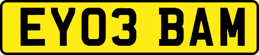EY03BAM