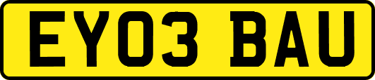 EY03BAU