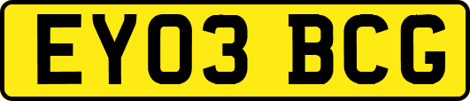 EY03BCG